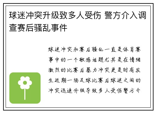 球迷冲突升级致多人受伤 警方介入调查赛后骚乱事件