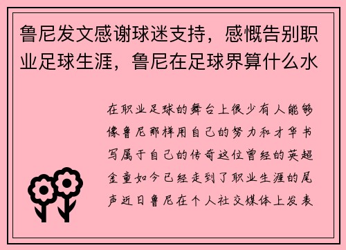 鲁尼发文感谢球迷支持，感慨告别职业足球生涯，鲁尼在足球界算什么水平
